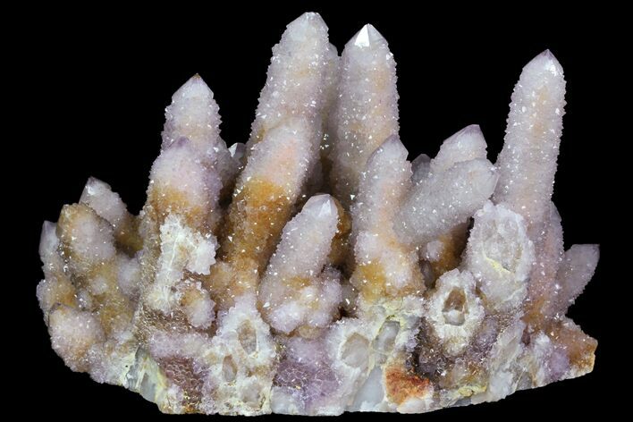 Cactus Quartz (Amethyst) Cluster - South Africa #78659